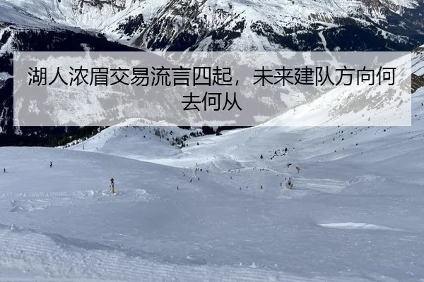 湖人浓眉交易流言四起，未来建队方向何去何从