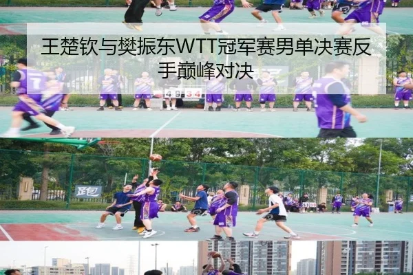 王楚钦与樊振东WTT冠军赛男单决赛反手巅峰对决