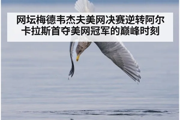 网坛梅德韦杰夫美网决赛逆转阿尔卡拉斯首夺美网冠军的巅峰时刻