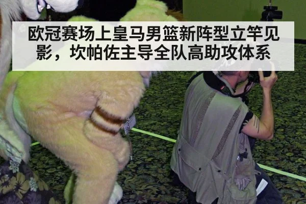 欧冠赛场上皇马男篮新阵型立竿见影，坎帕佐主导全队高助攻体系