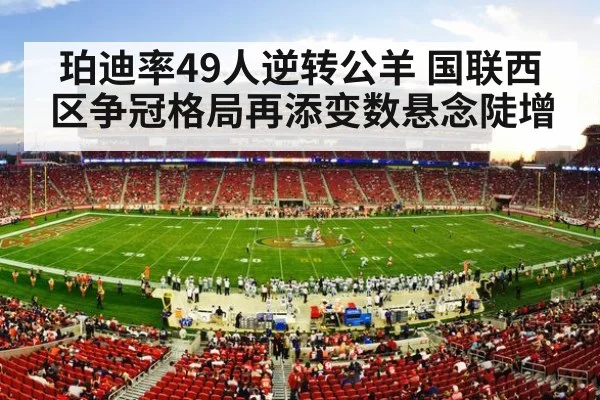 american football stadium crowd